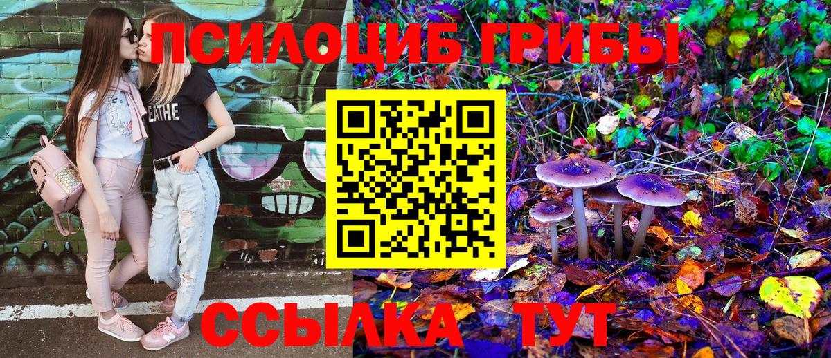 Псилоцибиновые грибы мухоморы  Псилоцибиновые грибы Psilocybine cubensis  Вход с VPN  Майский 