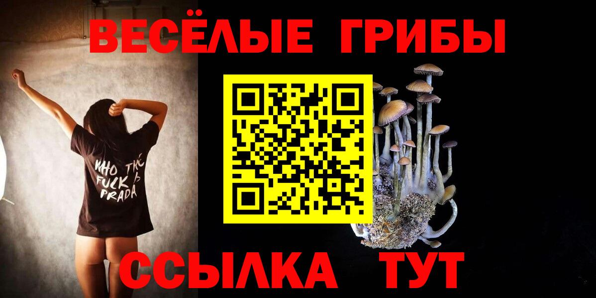 Галлюциногенные грибы ЛСД Майский